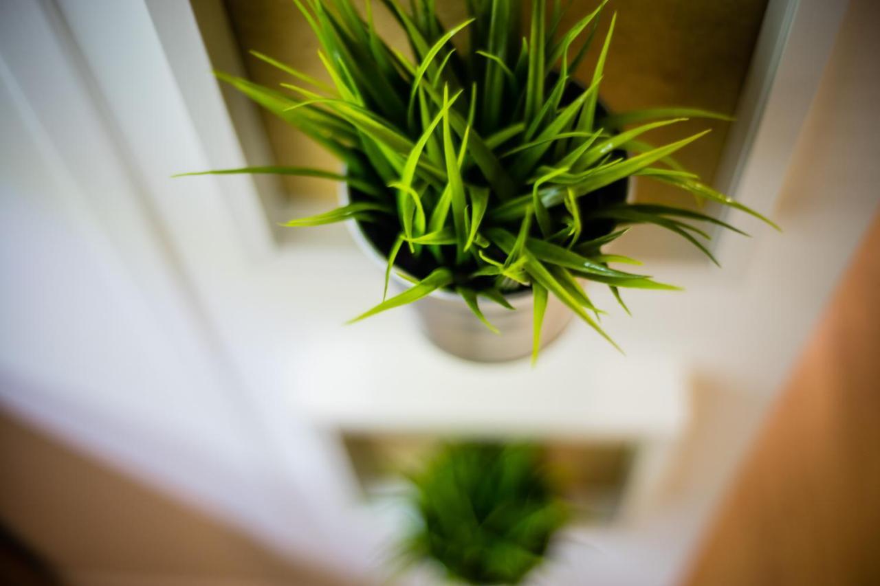 Apartament Wietora Wawelofts 克拉科夫 外观 照片